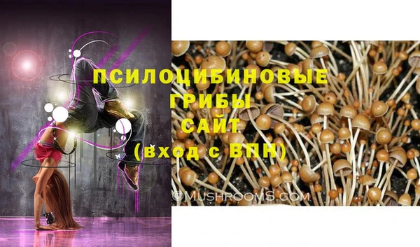 гидра Алексеевка