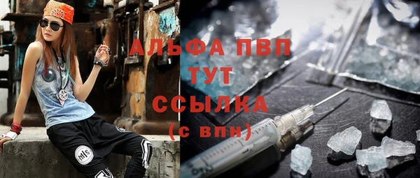 гидра Алексеевка