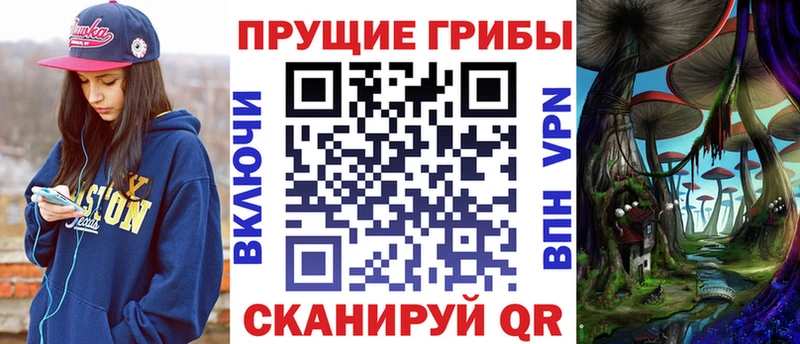 Галлюциногенные грибы MAGIC MUSHROOMS  цена наркотик  Железногорск-Илимский 