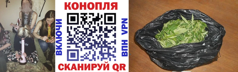 Конопля SATIVA & INDICA  гидра маркетплейс  Железногорск-Илимский 